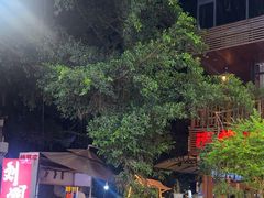 -刘姐啤酒鱼民族演艺餐厅(西街总店)