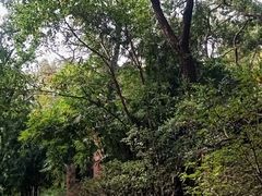 -食膳公园包子铺(烈士公园店)