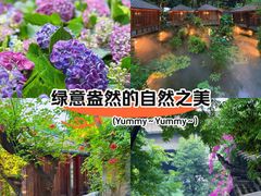 -大妙火锅·非物质文化遗产(东湖公园店)