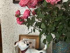 -绿房子方寸咖啡(星海名城店)