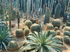 -祥源·阜阳生态乐园