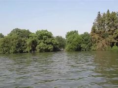 -西湖外事游船(花港观鱼码头)