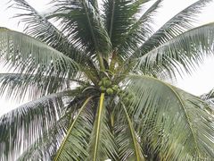 -三亚西岛海洋文化旅游区