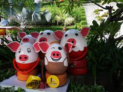 -100蛋泥浆浴