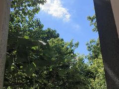 -湖北美术学院(昙华林校区)