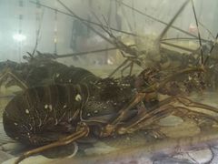 -巽寮印象美食部落餐厅·海鲜·地方特色菜(惠州体验店)