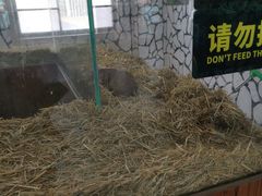-海合安武汉极地海洋公园