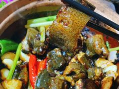 -天宝食坊·啫啫煲大排档(西华路店)