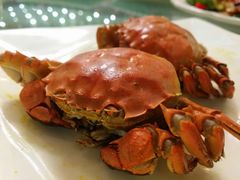 大闸蟹-南海食街(佛冈店)