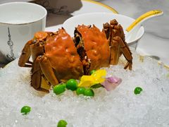 熟醉金蟹-蘭心·臻品(瑞虹太阳宫店)
