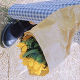 青龙湖春游➕野餐➕拍拍拍[亲亲]