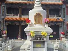 -五台山风景名胜区-罗睺寺