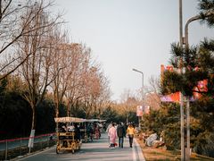 -武汉园博园(武汉自然博物馆)