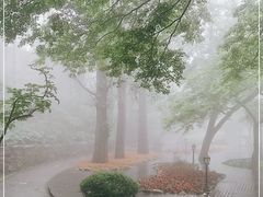 -庐山风景区花径公园