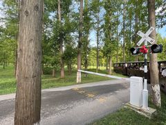 -黄海国家森林公园