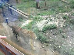-贵州森林野生动物园