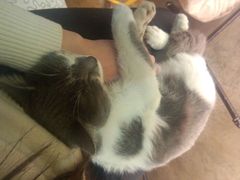 android_upload_pic-MIKAKU(万达广场上海宝山店)