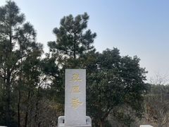 -雨花胜境