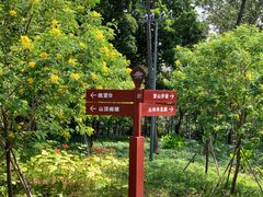 -王借岗森林公园