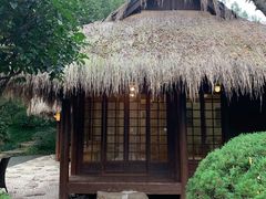 -中国茶叶博物馆(双峰馆区)