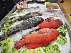-有腥气私房菜·寻味顺德