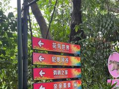 -广州长隆飞鸟乐园