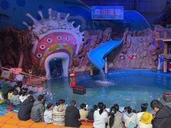 -烟台海昌鲸鲨海洋公园
