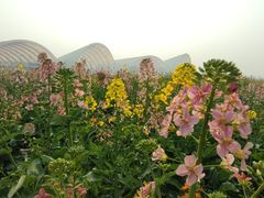 -中国天府农业博览园