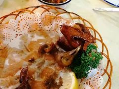 -一煲鸽