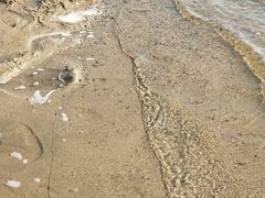 -丁香湖公园