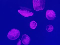 -华夏文旅西安度假区