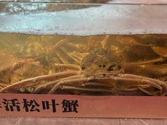 -丰卓会海鲜自助(中润大道店)