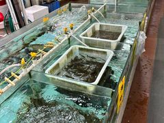 -寻味顺德·南记酒家·传统顺德菜·鱼生(广源路店)