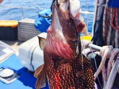 -斐济双桅帆船外岛一日游 浮潜 海钓 Tinhao号