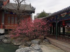 -即墨古城