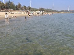 -汕尾风车岛