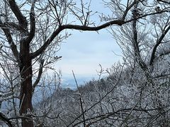 -紫金山索道-售票处