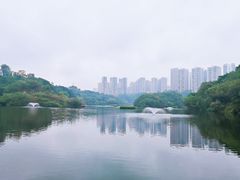 -重庆彩云湖湿地公园