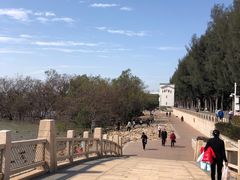 -宝安西湾红树林湿地公园