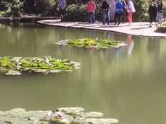 -庐山风景区花径公园
