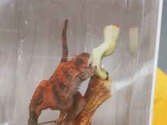 -KKV(武汉荟聚购物中心店)