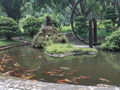 -莫里热带雨林景区