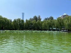 -团结湖公园