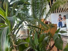 -Seesaw Coffee(朝阳大悦城店)