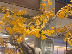 -胖老汉(迎宾路店)