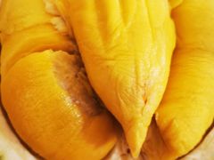 -都念榴莲·城市榴莲