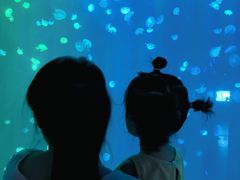 -合肥海洋世界
