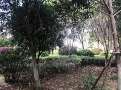 -臻鲜燕海鲜融合餐厅(金陵style店)