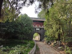 -云岗森林公园