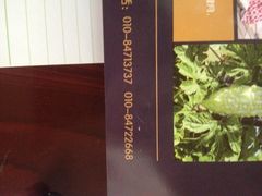 卓悦童双语艺术幼儿园-卓悦童国际幼儿园